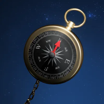 Illustration realign - Image 1