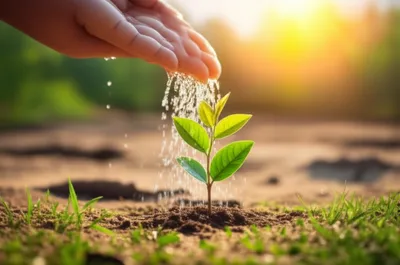 Illustration subsidizes