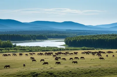 Illustration ranged - Image 1