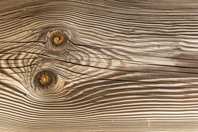 Illustration grain - Image 1