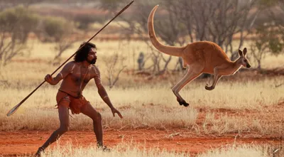 Illustration kangaroo - Image 1