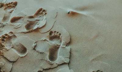Illustration footprints - Image 2