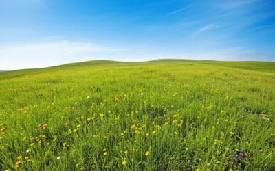 Illustration floors - Image 1