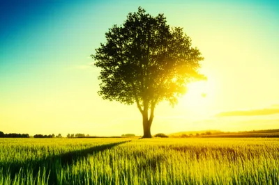 Illustration affirmations - Image 2