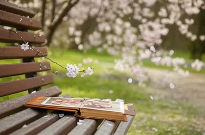 Illustration memory - Image 1