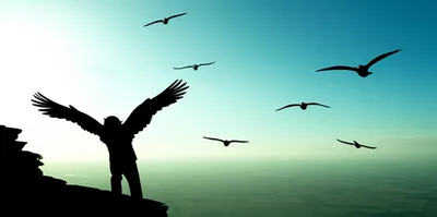 Illustration winging - Image 1