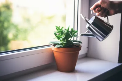 Illustration regularly - Image 1