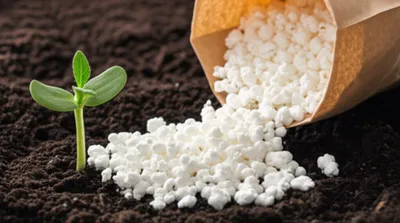 Illustration perlite - Image 1