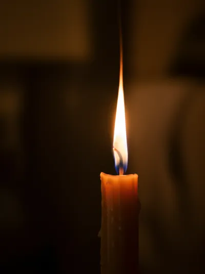 Illustration wavers - Image 1