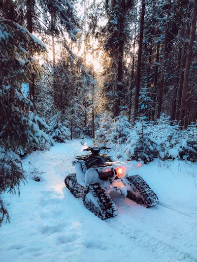 Illustration tracked - Image 2