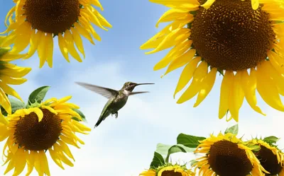 Illustration lightest - Image 1