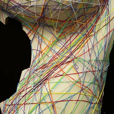 Illustration disorders - Image 1