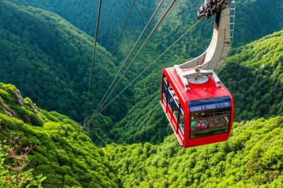 Illustration trams - Image 1