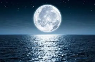 Illustration full - Image 3