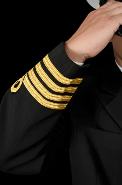 Illustration ringer - Image 1