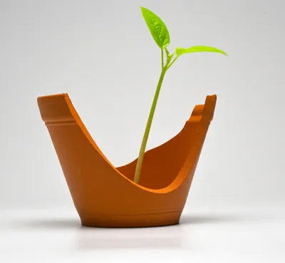 Illustration abrupt - Image 1