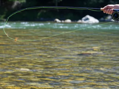 Illustration spider - Image 1