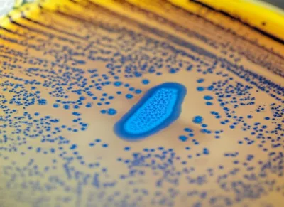 Illustration isolated - Image 1