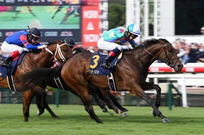 Illustration placing - Image 1