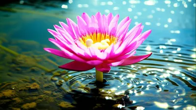 Illustration childbearing