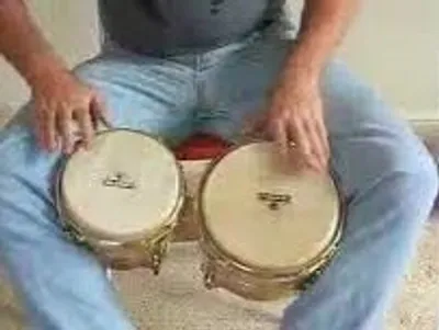 Illustration bongo - Image 2