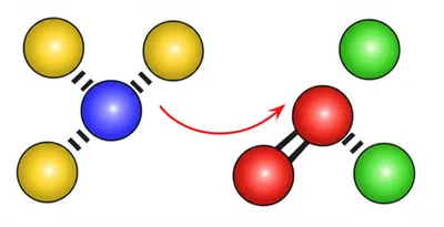 Illustration conversion - Image 1