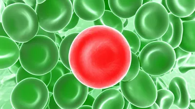 Illustration sporadic - Image 1