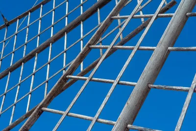 Illustration blades - Image 2