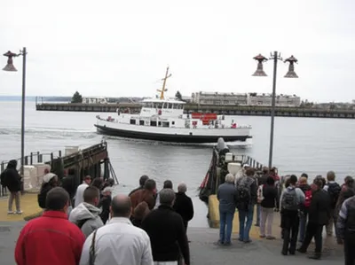 Illustration ply - Image 1