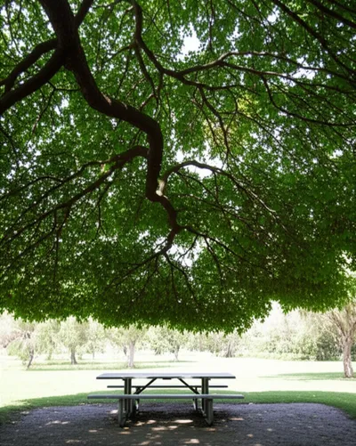 Illustration overhung - Image 1