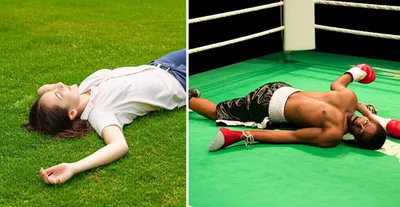 Illustration grassing - Image 1