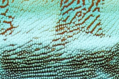 Illustration nuances - Image 1