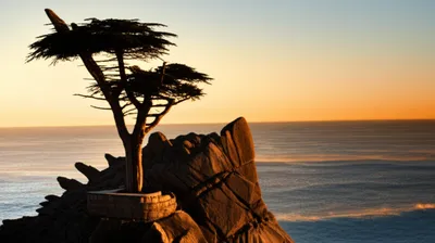 Illustration accepts - Image 1