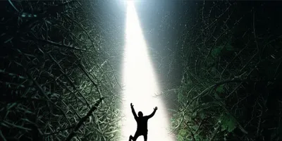 Illustration lapse - Image 1