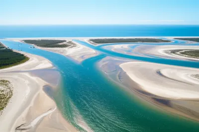 Illustration bifurcations - Image 1