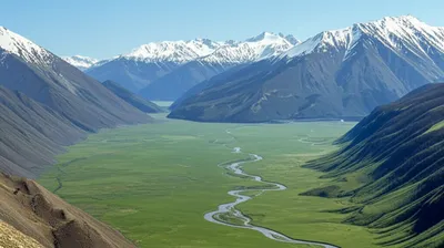 Illustration parks - Image 1