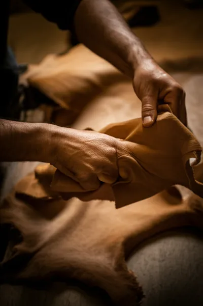 Illustration grains - Image 1