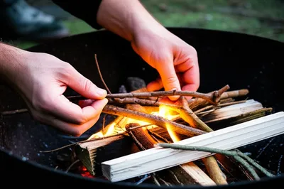 Illustration tended - Image 1