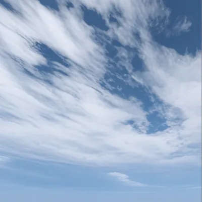 Illustration wrack - Image 1