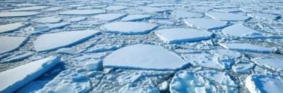 Illustration pk - Image 1