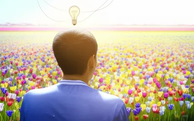 Illustration occurs - Image 1