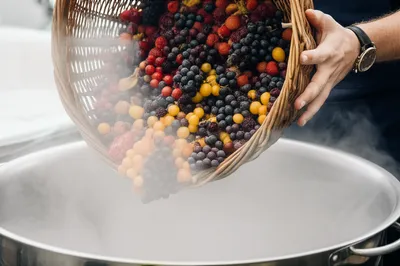 Illustration vats - Image 1