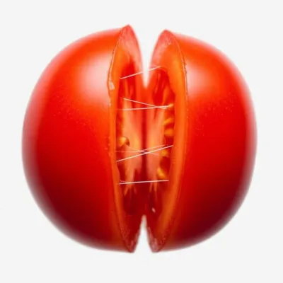 Illustration suture - Image 1