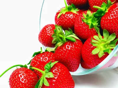 Illustration abound - Image 1