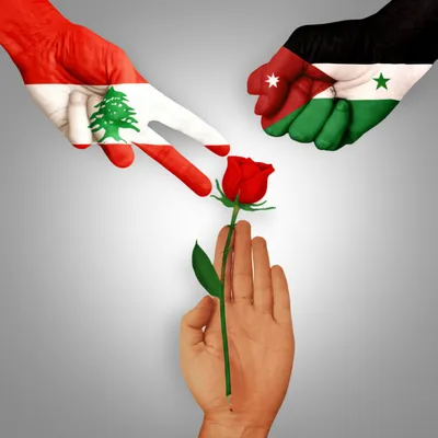 Illustration lira - Image 1