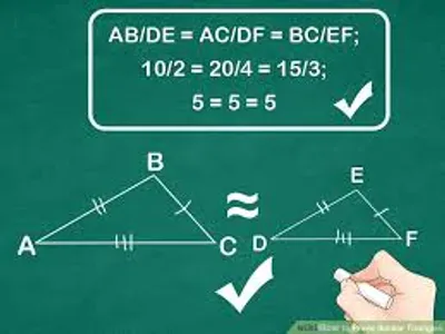 Illustration demonstration - Image 4