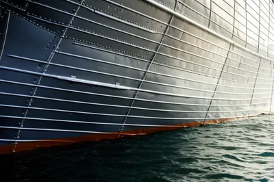 Illustration shell - Image 1