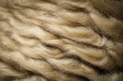 Illustration beige - Image 1