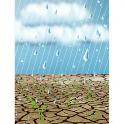 Illustration replenishing - Image 1