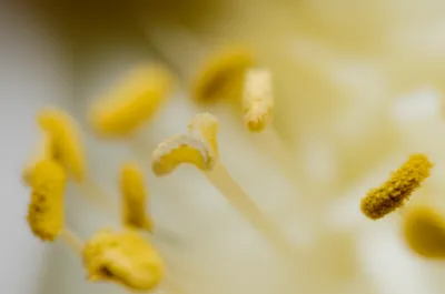 Illustration stigma - Image 1